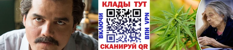 Хочу наркоту Бородино Гашиш Каннабис Амфетамин МЕФ Галлюциногенные грибы Cocaine