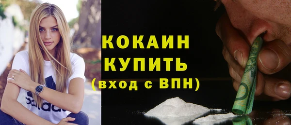 индика Белоозёрский