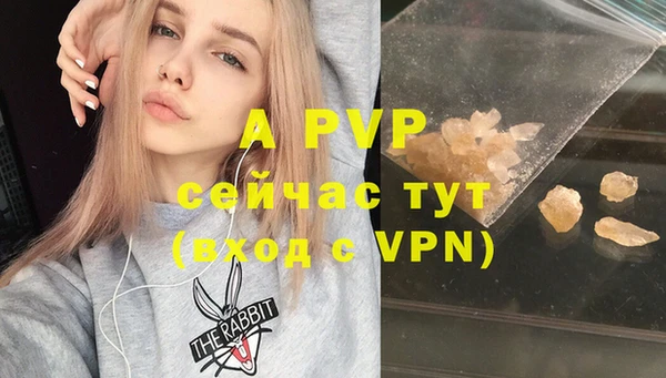 крисы Беломорск