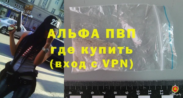 индика Белоозёрский