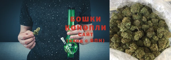 индика Белоозёрский